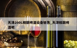 天津200L精酿啤酒设备销售_天津精酿啤酒吧