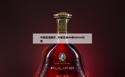中国宣酒图片_中国宣酒40度460ml价格
